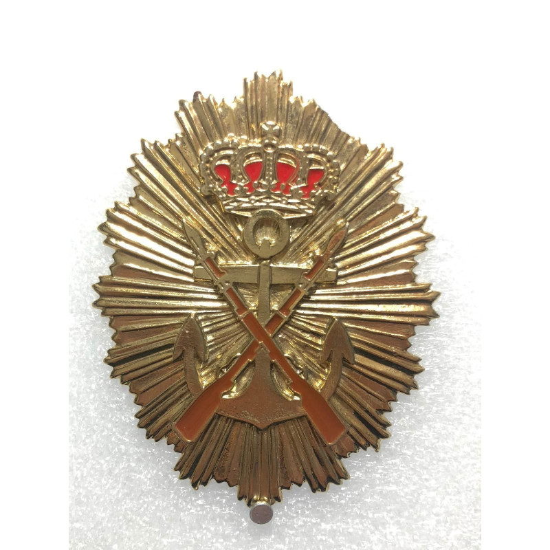 Placa Infantería Marina